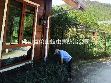 明城農(nóng)莊滅治老鼠蟲(chóng)害
